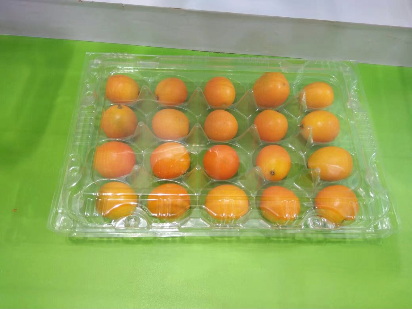 一次性塑料托盤