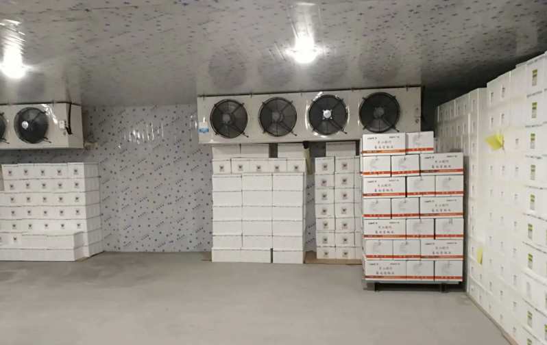 建造安裝一個(gè)200㎡的冷凍庫需要多少錢