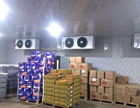  深圳建造一個(gè)100平米水果冷庫(kù)大約需要多少錢