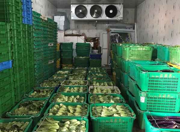 建造大型蔬菜保鮮冷庫造價(jià)多少錢